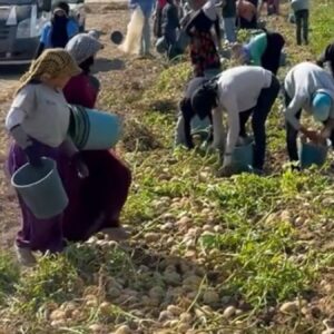 marketlerin verdigi fiyat isyan ettirdi halka bedava dagitti VJdMA5Gz