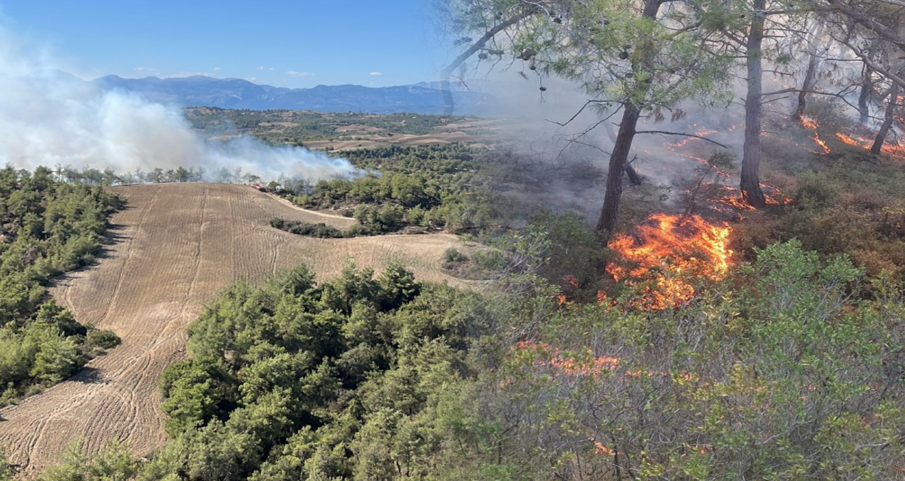 adananin saricam ilcesinde orman yangini cikti CDgVpLU2