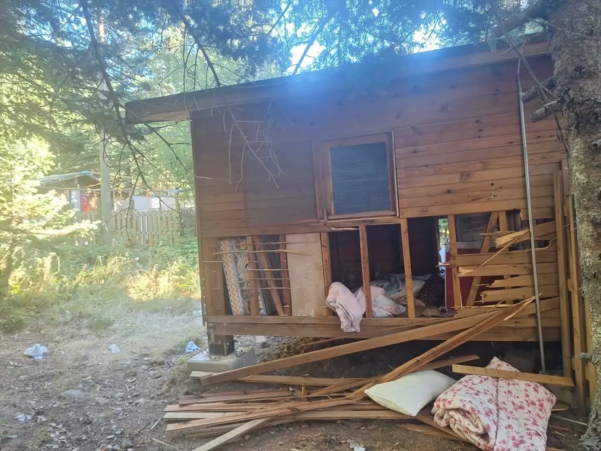 uludagda ayi barakaya saldirdi UYaV8yBe