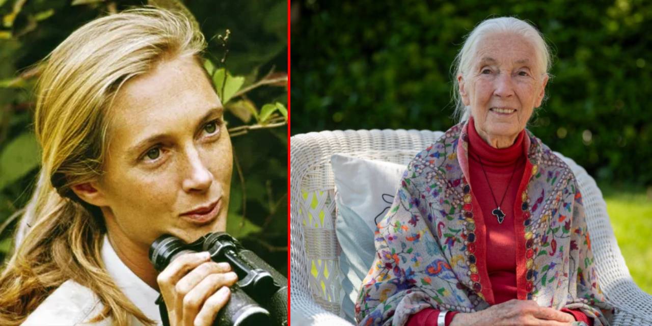hayvanin alet kullanabildigini kesfetti dr jane goodall 91 yasinda hayatini kaybetti AFODUWFC