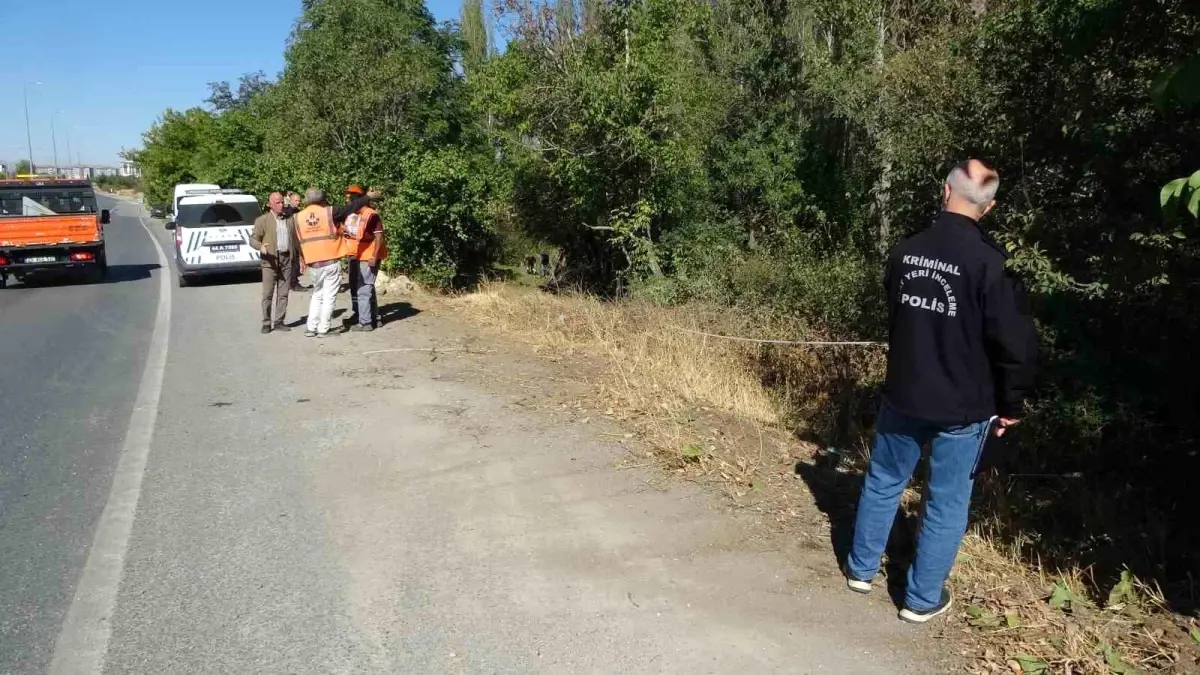 malatyada otomobil kayisi bahcesine uctu 1 yarali xW6XpvE5.jpg