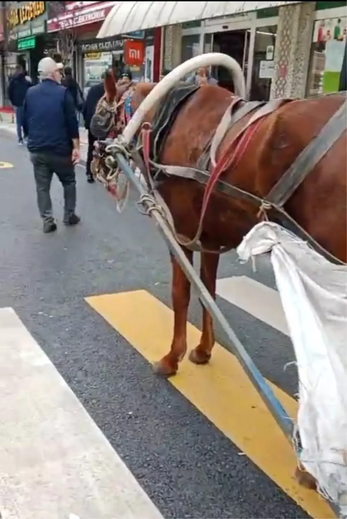 yaya gecidine at arabasi park etti cezasi 993 tl ak1cdndd.jpg