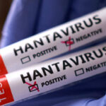 testler-negatif-ama-risk-bitmedi-hantavirus-gemisinden-gelen-yolcular-karantinada-HIkL73FF