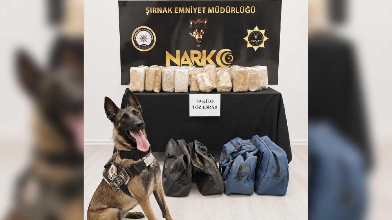 Sirnakta bir tirda 79 kilogram esrar bulundu y8gdHtDu
